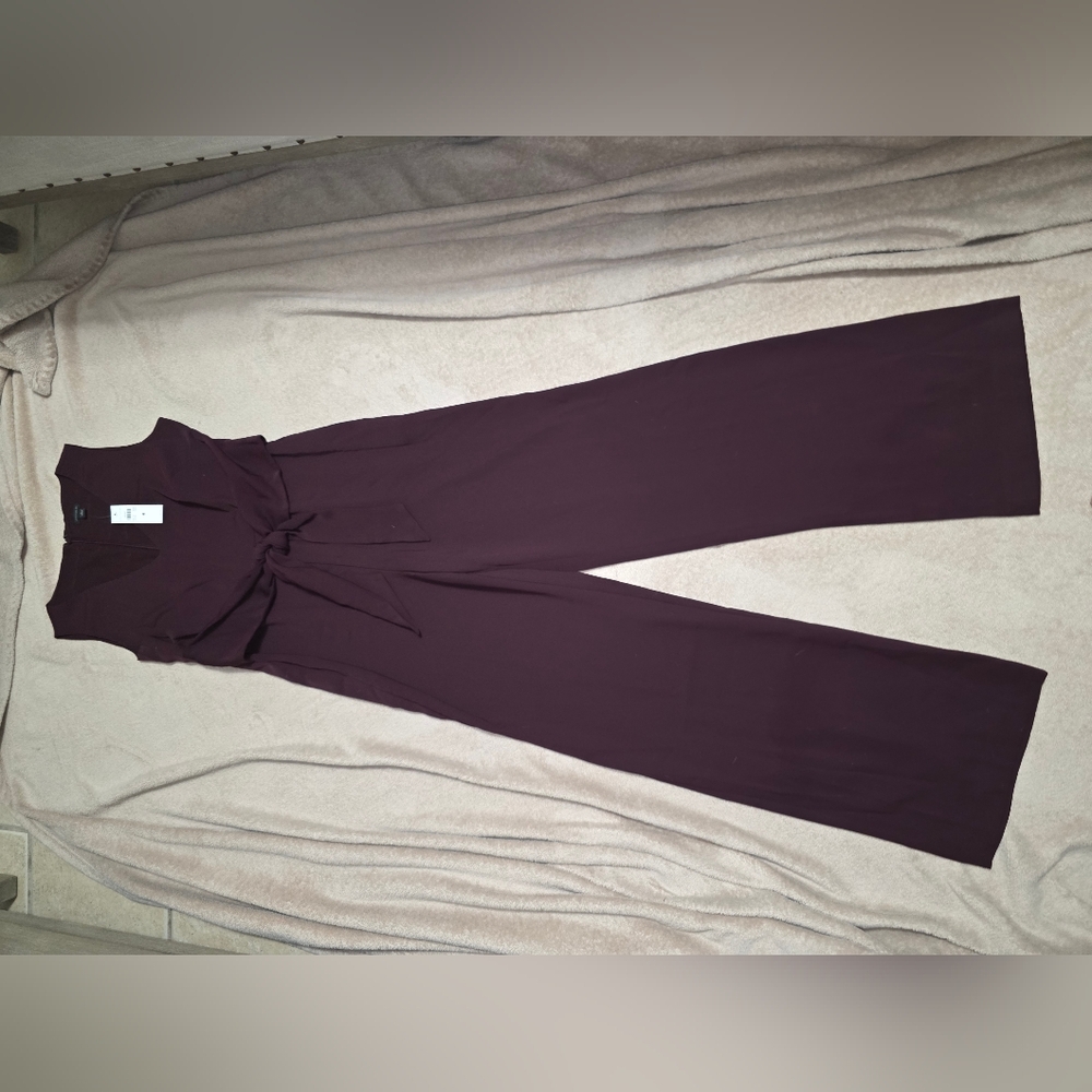 Elegant Ann Taylor Burgundy Jumpsuit